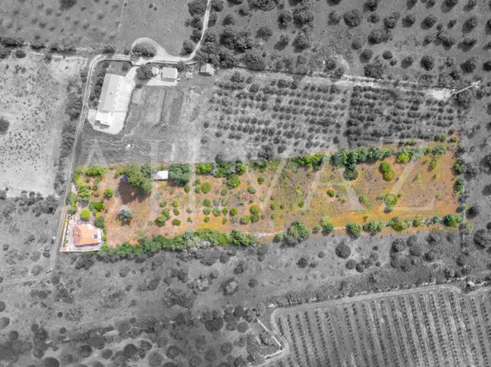 Image No.9-4 Bed House for sale