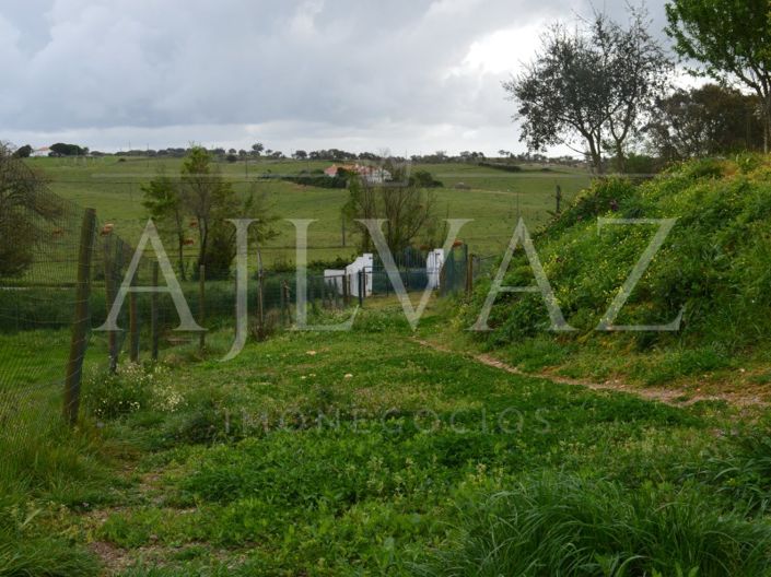 Image No.13-3 Bed House for sale