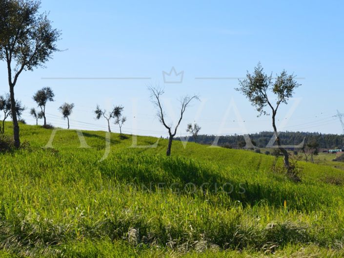 Image No.18-Plot for sale