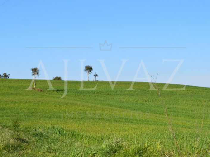 Image No.19-Plot for sale