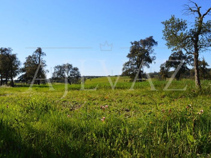 Image No.5-Plot for sale