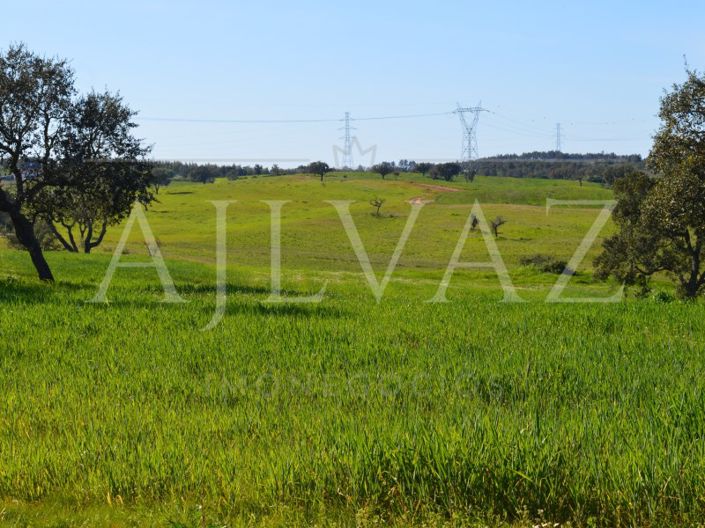 Image No.6-Plot for sale