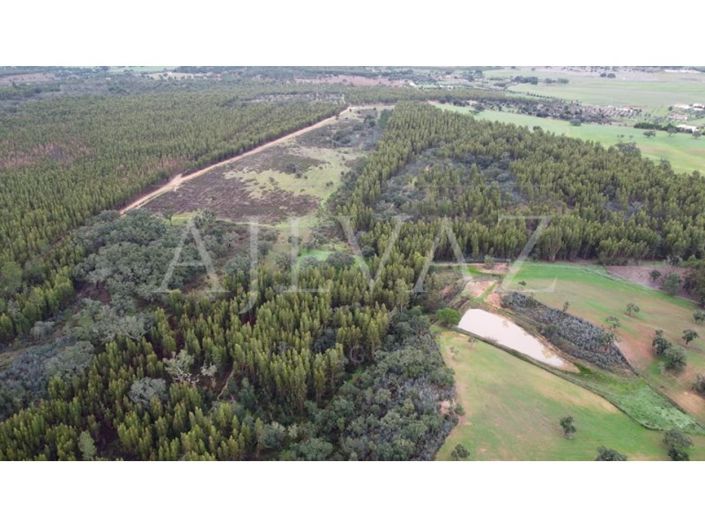 Image No.1-Plot for sale