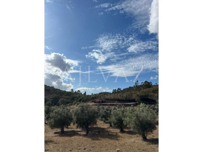 Image No.3-Farmhouse for sale