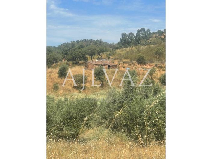 Image No.9-Farmhouse for sale