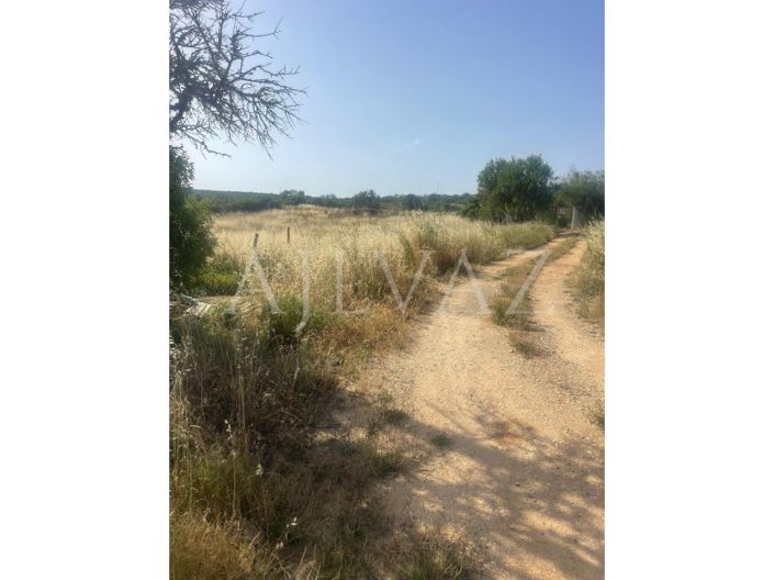 Image No.19-Ferme de 2 chambres à vendre à Lagos