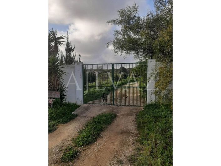 Image No.3-Ferme de 2 chambres à vendre à Lagos