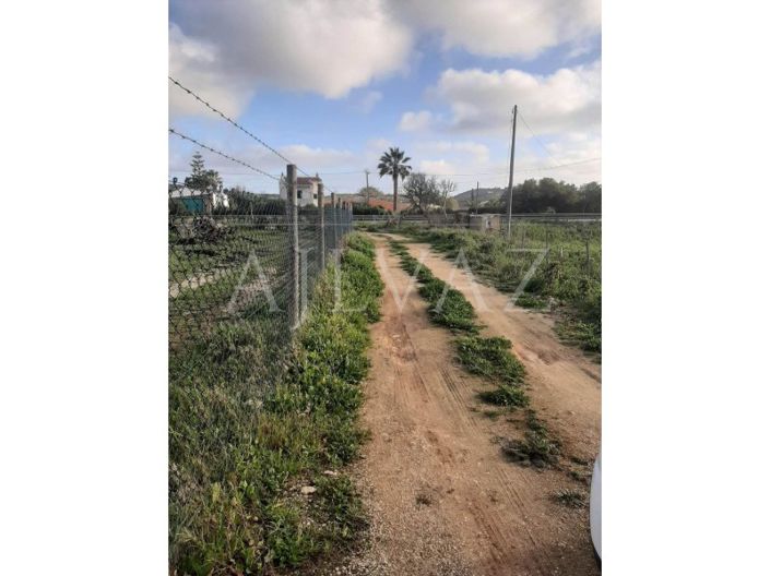 Image No.4-Ferme de 2 chambres à vendre à Lagos