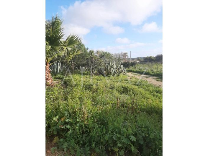 Image No.5-Ferme de 2 chambres à vendre à Lagos