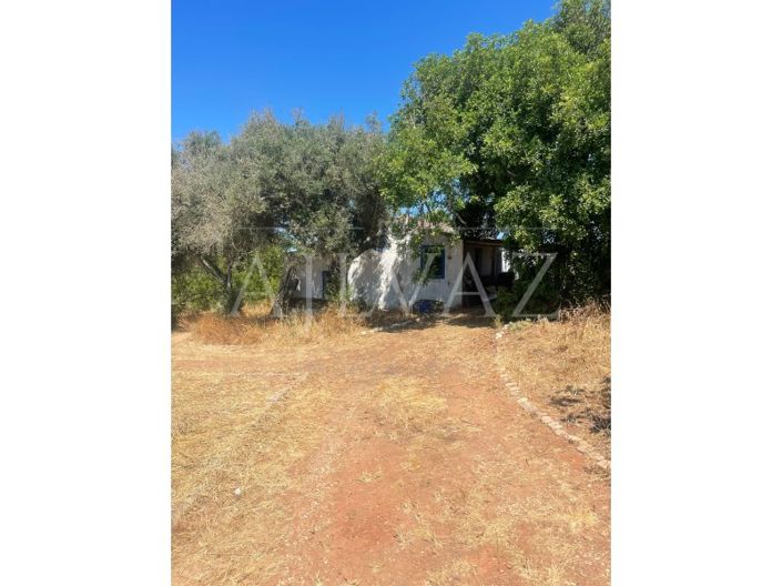 Image No.33-Ferme de 5 chambres à vendre à Lagos