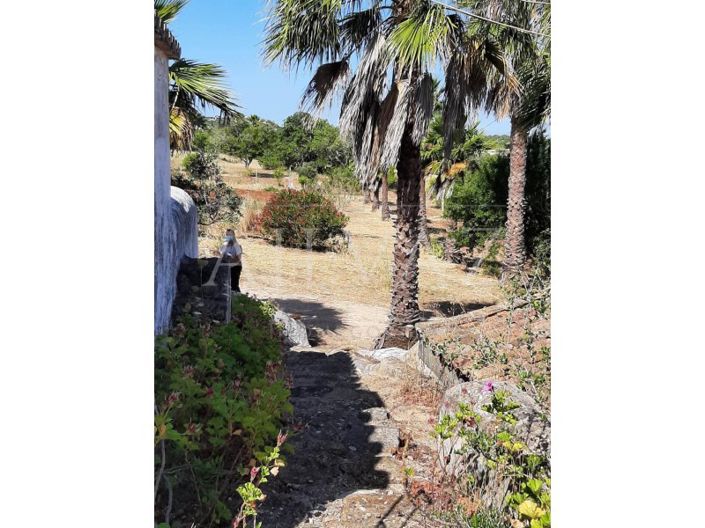 Image No.34-Ferme de 5 chambres à vendre à Lagos