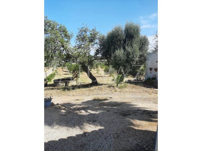 Image No.36-Ferme de 5 chambres à vendre à Lagos