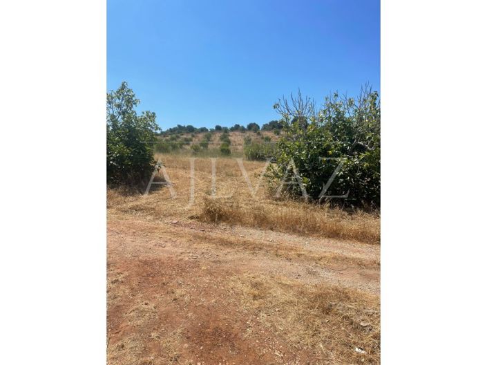 Image No.38-Ferme de 5 chambres à vendre à Lagos