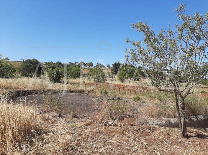 Image No.39-Ferme de 5 chambres à vendre à Lagos