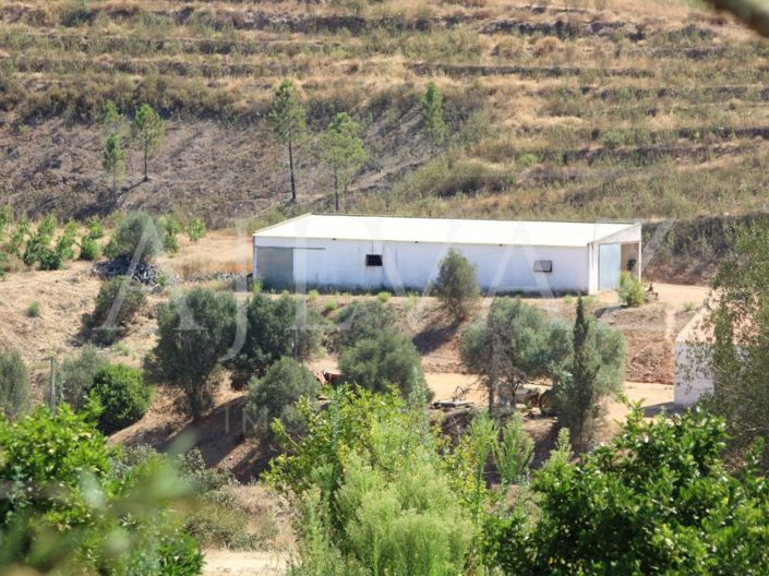 Image No.17-Ferme de 14 chambres à vendre à Silves