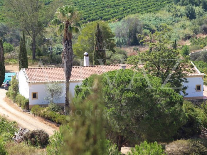 Image No.18-Ferme de 14 chambres à vendre à Silves