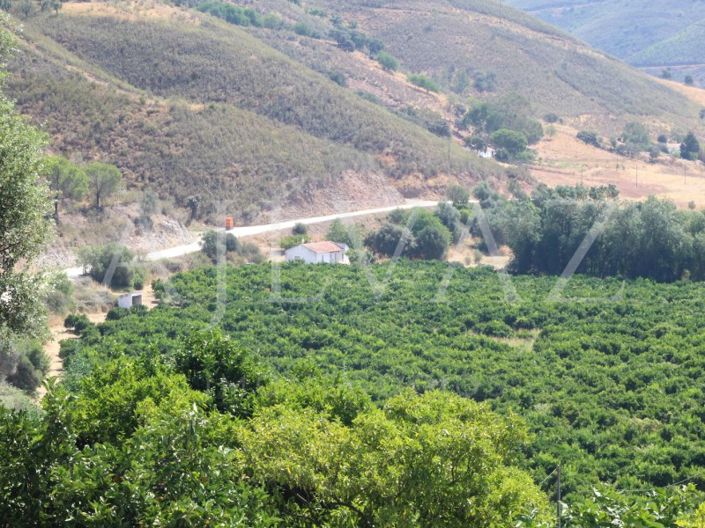 Image No.21-Ferme de 14 chambres à vendre à Silves