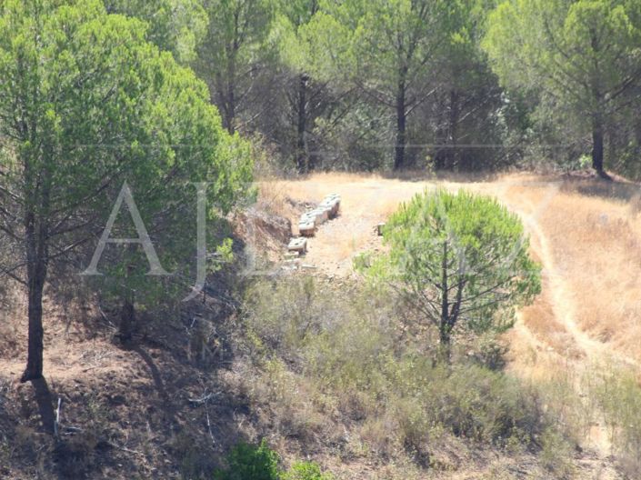 Image No.22-Ferme de 14 chambres à vendre à Silves