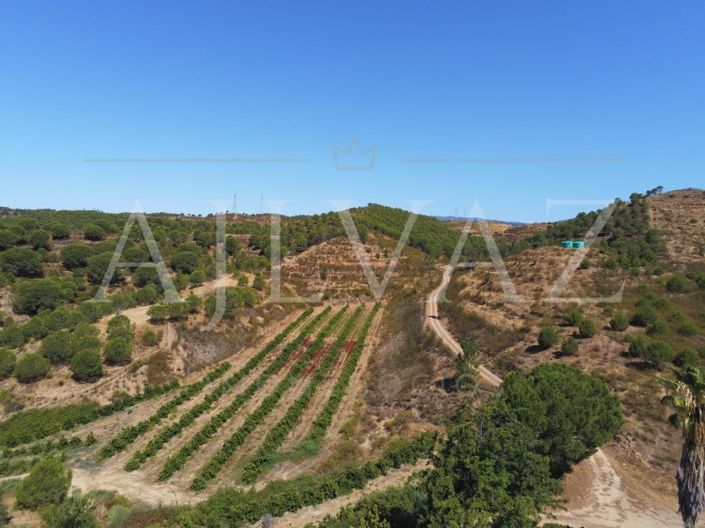 Image No.27-Ferme de 14 chambres à vendre à Silves