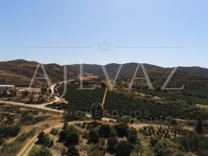 Image No.30-Ferme de 14 chambres à vendre à Silves