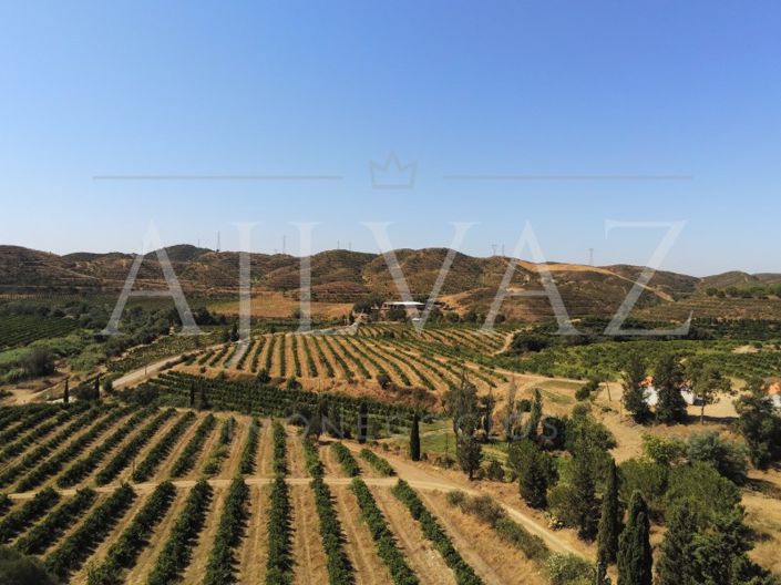 Image No.32-Ferme de 14 chambres à vendre à Silves