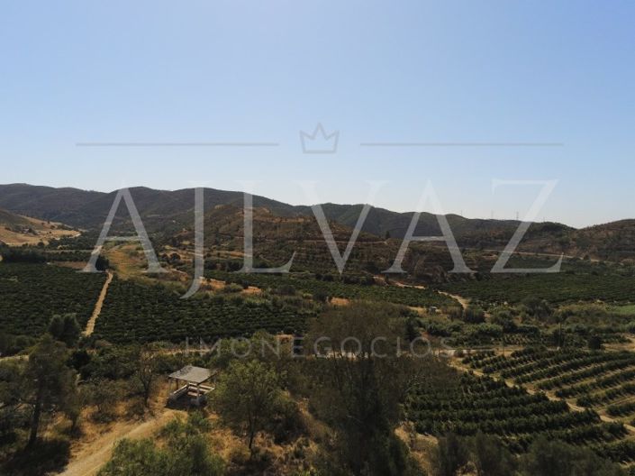 Image No.34-Ferme de 14 chambres à vendre à Silves