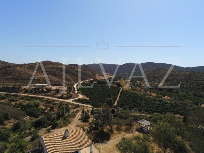 Image No.35-Ferme de 14 chambres à vendre à Silves