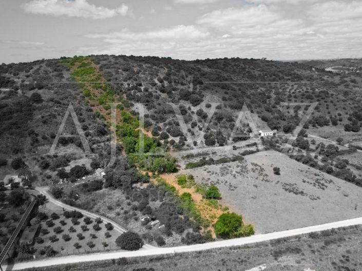 Image No.11-Plot for sale