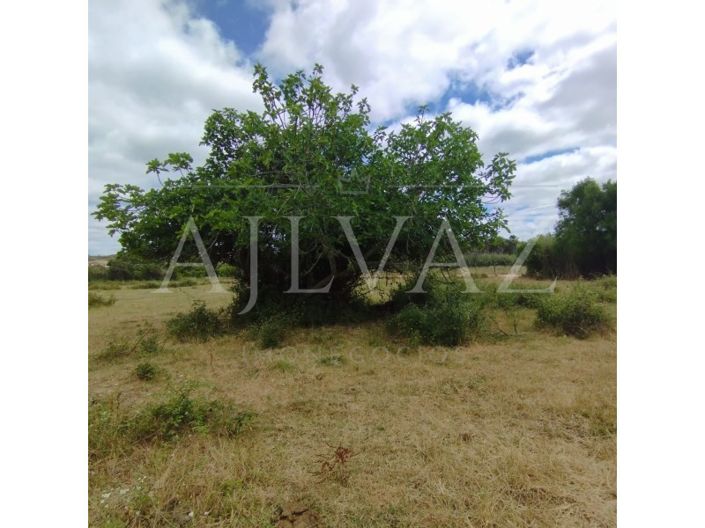 Image No.15-Plot for sale