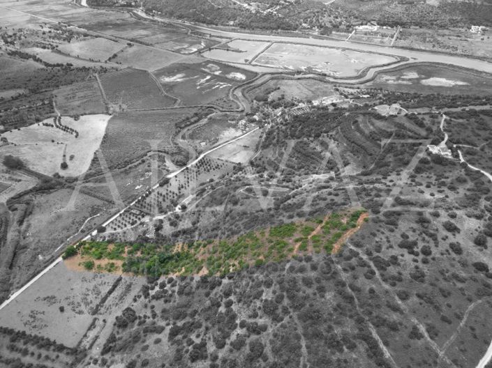 Image No.3-Plot for sale