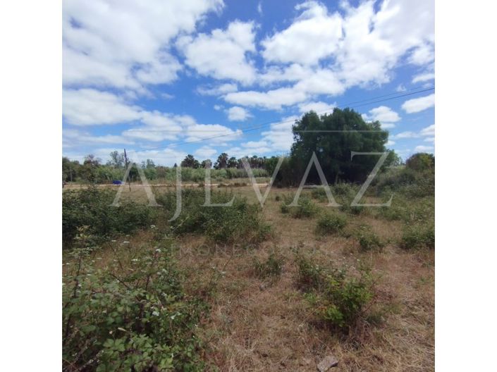 Image No.39-Plot for sale