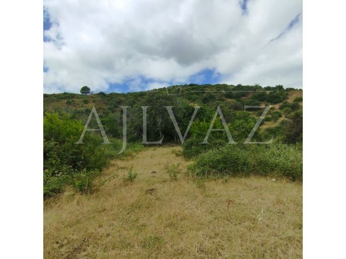 Image No.41-Plot for sale