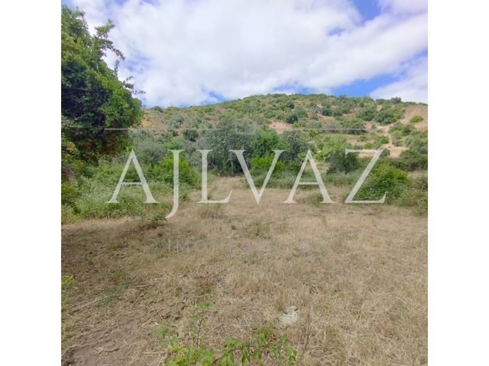 Image No.42-Plot for sale