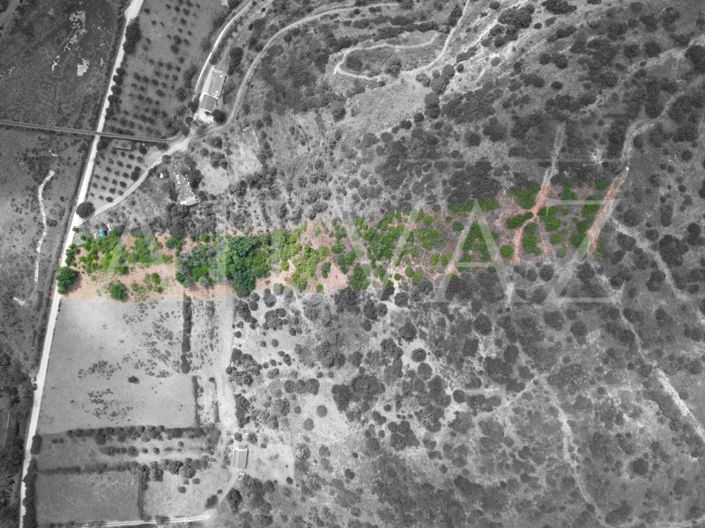 Image No.6-Plot for sale