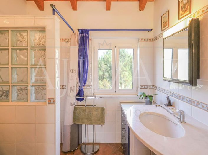 Image No.26-Ferme de 4 chambres à vendre à Aljezur