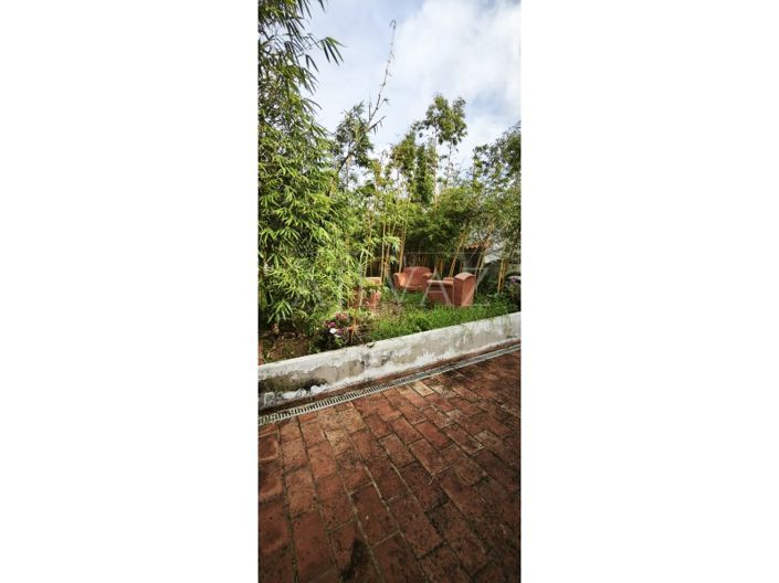 Image No.36-Maison de 6 chambres à vendre à Odemira