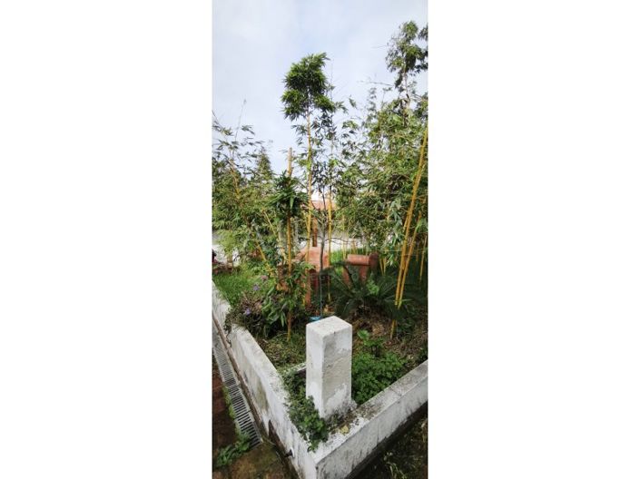 Image No.38-Maison de 6 chambres à vendre à Odemira