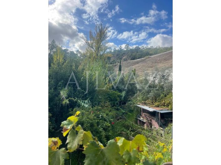 Image No.24-Maison de 2 chambres à vendre à Odemira