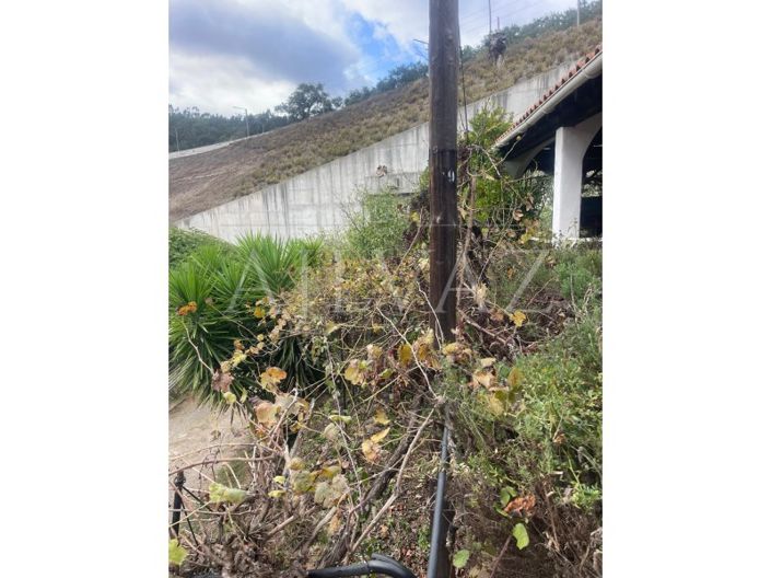 Image No.26-Maison de 2 chambres à vendre à Odemira