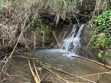 id96bb7a01-0000-0500-0000-000012e44940