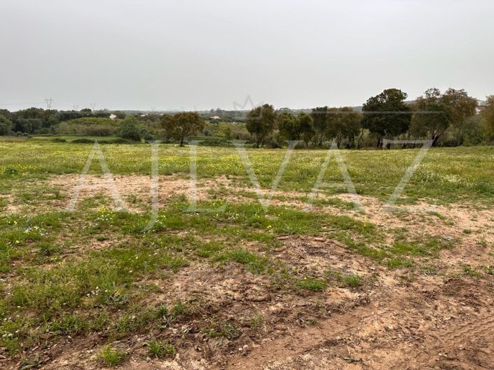 Image No.11-Plot for sale