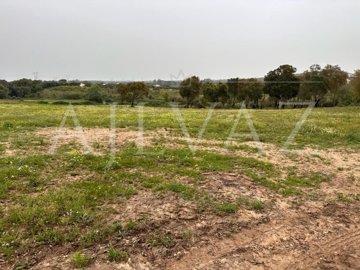 id96bb7a01-0000-0500-0000-000012e44949