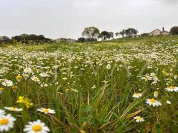 id96bb7a01-0000-0500-0000-000012e4494b