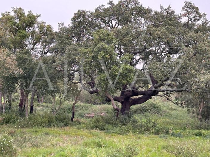 Image No.18-Plot for sale