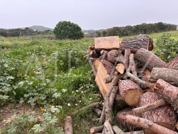 id96bb7a01-0000-0500-0000-000012e4493d