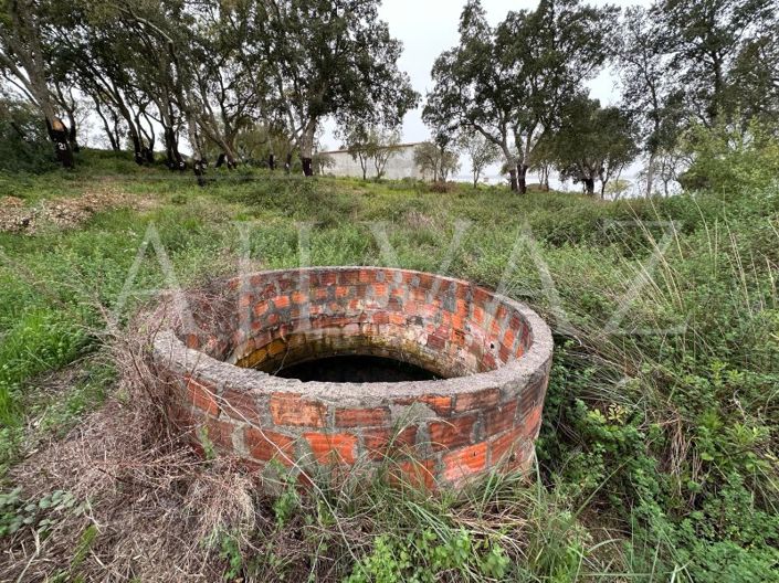 Image No.20-Plot for sale