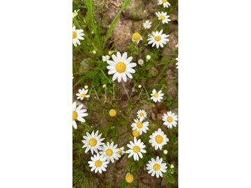 id96bb7a01-0000-0500-0000-000012e4493f