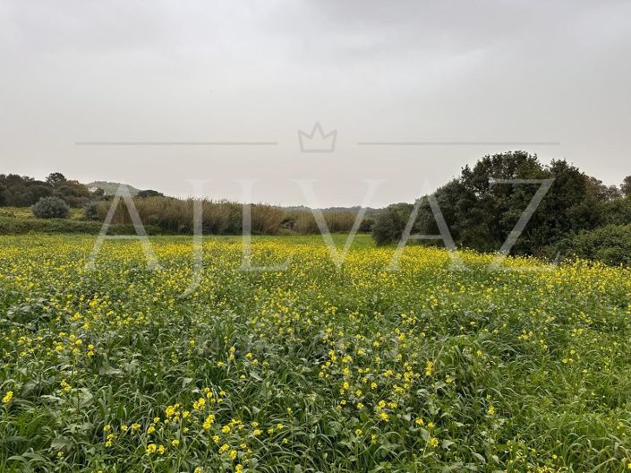 Image No.7-Plot for sale