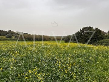 id96bb7a01-0000-0500-0000-000012e44943