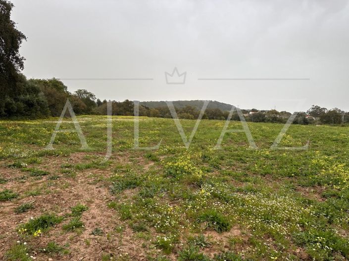 Image No.8-Plot for sale